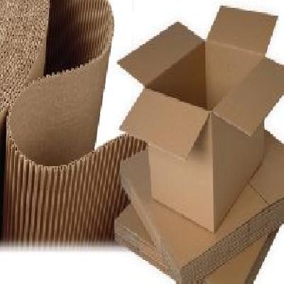 Punching Carton Box