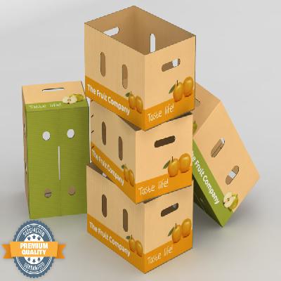 Corrugated Paper Fruit Box