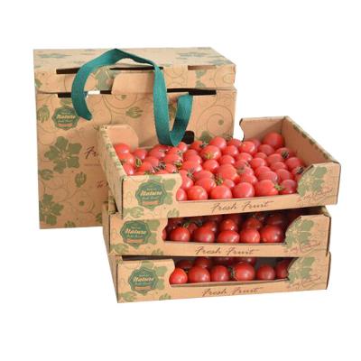 Fruit Carton Box