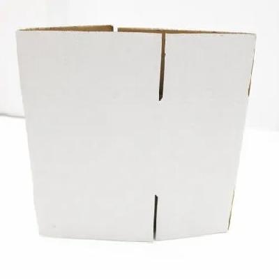 5 Ply White Corrugated Box