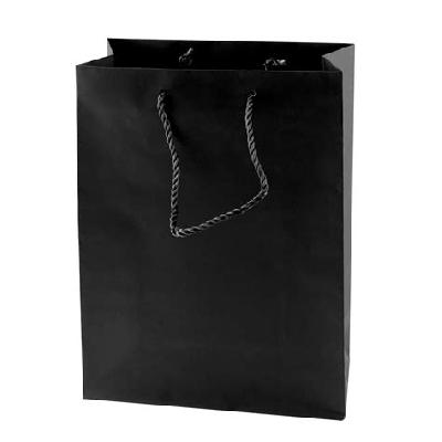 Laminated Paper Bag