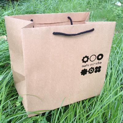 Eco Friendly Carry Paper Bag
