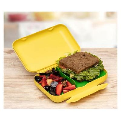 Sandwich Boxes
