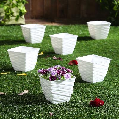 Plastic Planters