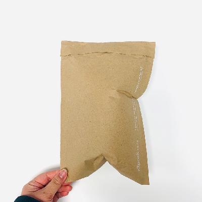 Paper Courier Bag
