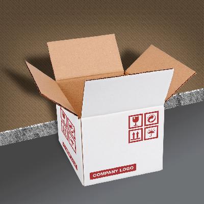 Carton Packaging Box
