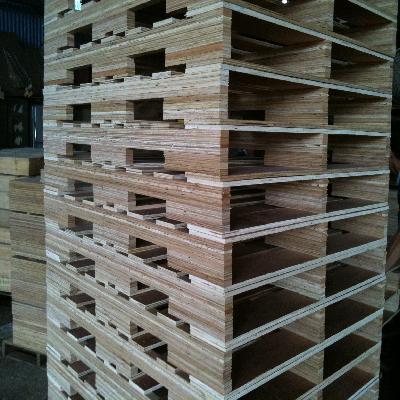Plywood Pallet