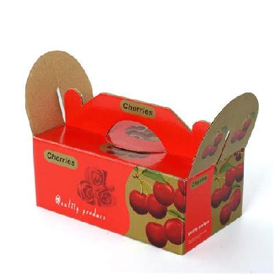 Fruits Packaging Carton Box