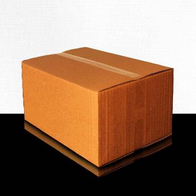 Plain Corrugated Packaging Box