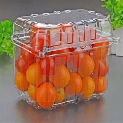 Food Packaging Trays