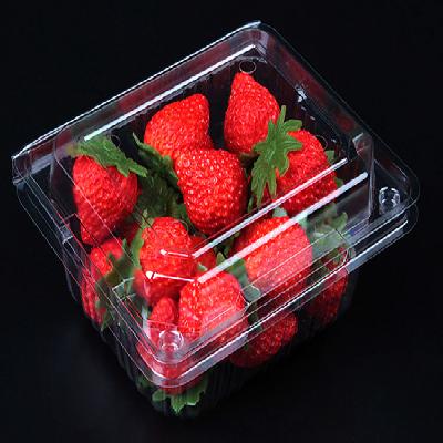 Fruit Packaging Trays