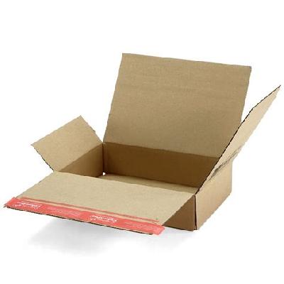 Lock Bottom Carton Box
