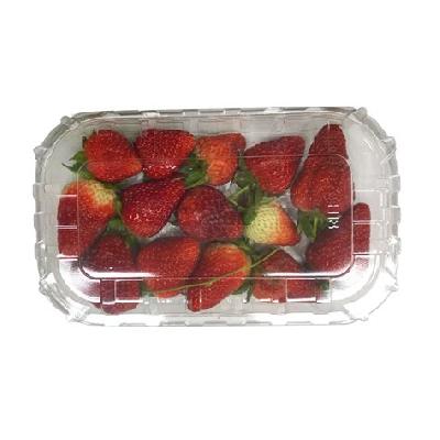 Strawberry Box