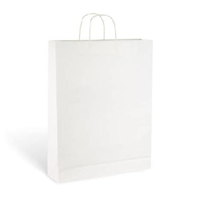 White Paper Carry Bag