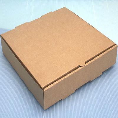 Plain Cardboard Pizza Box
