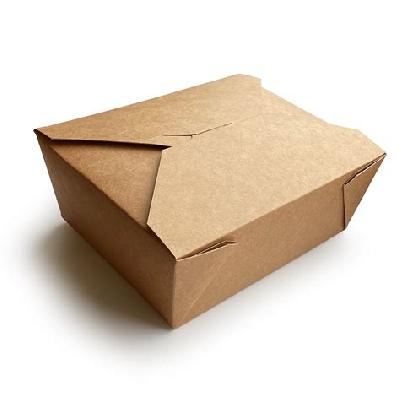 Leaked Proof Wok Box