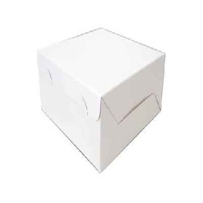 Plain White Cake Box