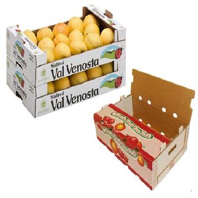 Fruit Corrugated Box