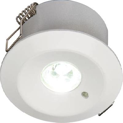 Non- Maintained Lights