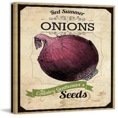 Printed Onion Seeds Packaging Box