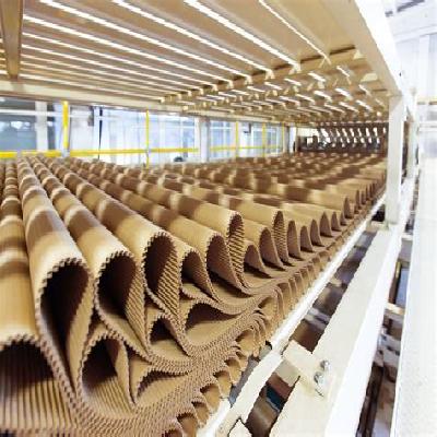 Corrugated Boards