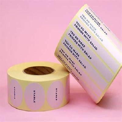 Paper Sticker Printing Services