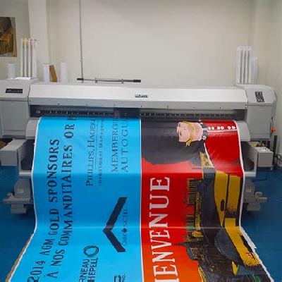 Vinyl Posters Printing Services