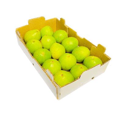 Guvava fruits empty box