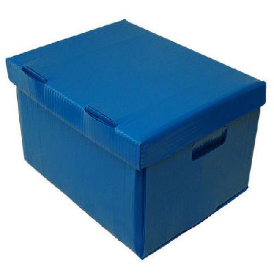 Plain PP Box