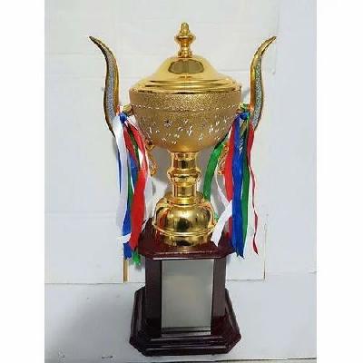 Achivemnet Trophy Cup