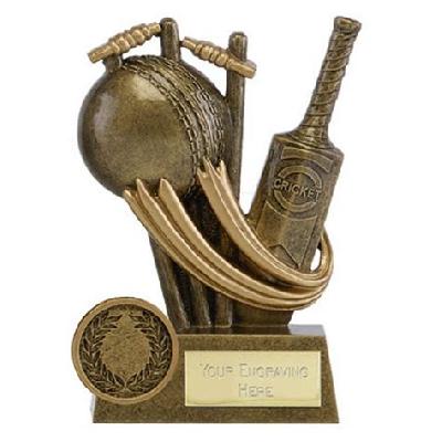 bat ball cricket medal