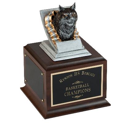 Brass And Wooden School Award Trophies