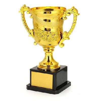 College Award Trophy
