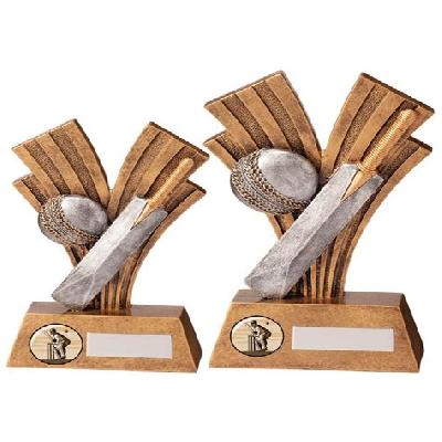 Cricket Wooden Bat trophy