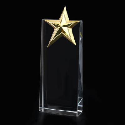 Crystal Acrylic Trophy