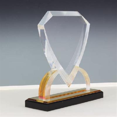 Designer Acrylic Trophy