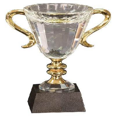 Designer Trophy Cup