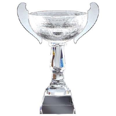 Diamond Trophy Cup