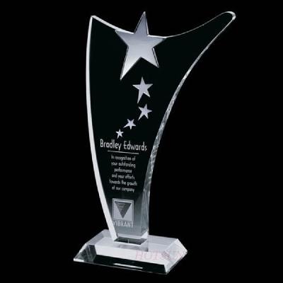 Engraved Acrylic Trophies