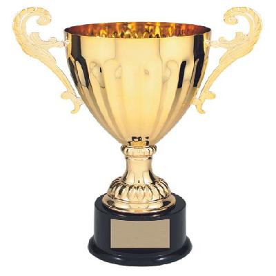 Engraved Trophy