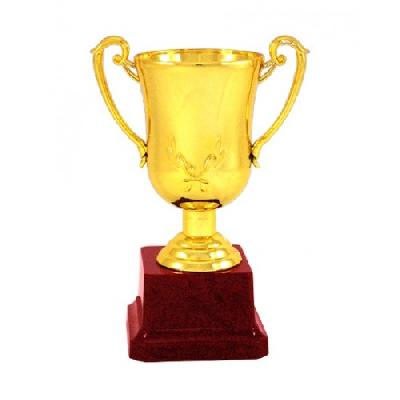 Fiber Cup Trophy
