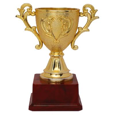 Fiber Gold Plated Trophy