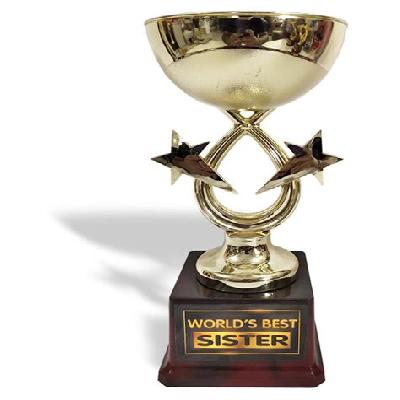 Fibre Award Trophies