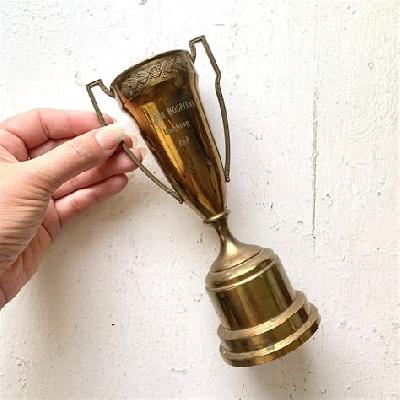 Golden Brass Antique Trophy Cup