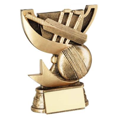Golden Cricket Trophy, Shape Cup
