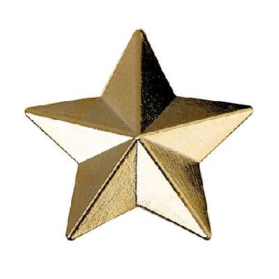 Metal Star School Award