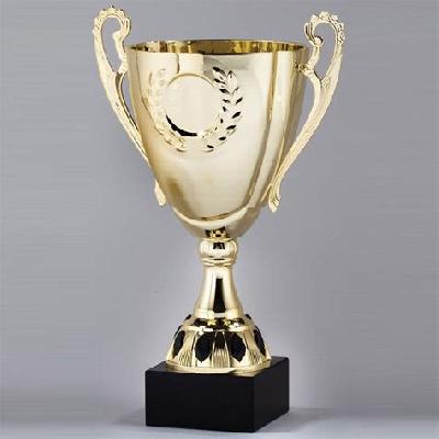 Metal Trophy Cup