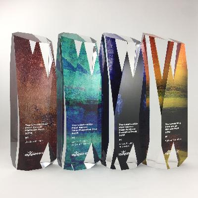 Printed Acrylic Trophy