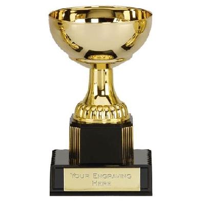 School Sports Award Trophies
