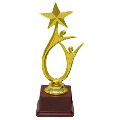 Star Fiber Trophy